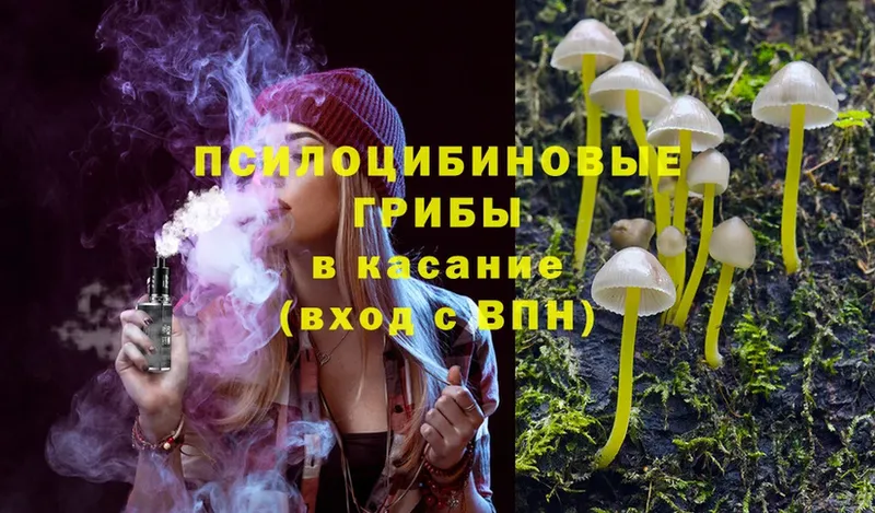 дарнет шоп  Балей  Псилоцибиновые грибы MAGIC MUSHROOMS 